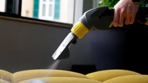 Shampouineuse