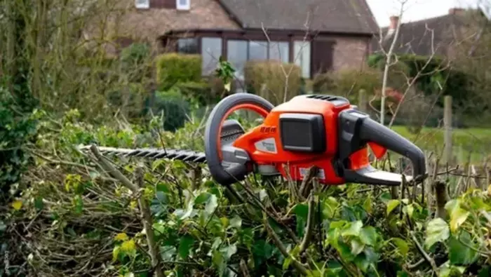 Quand tailler les haies au jardin ?