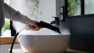 Nettoyeur vapeur