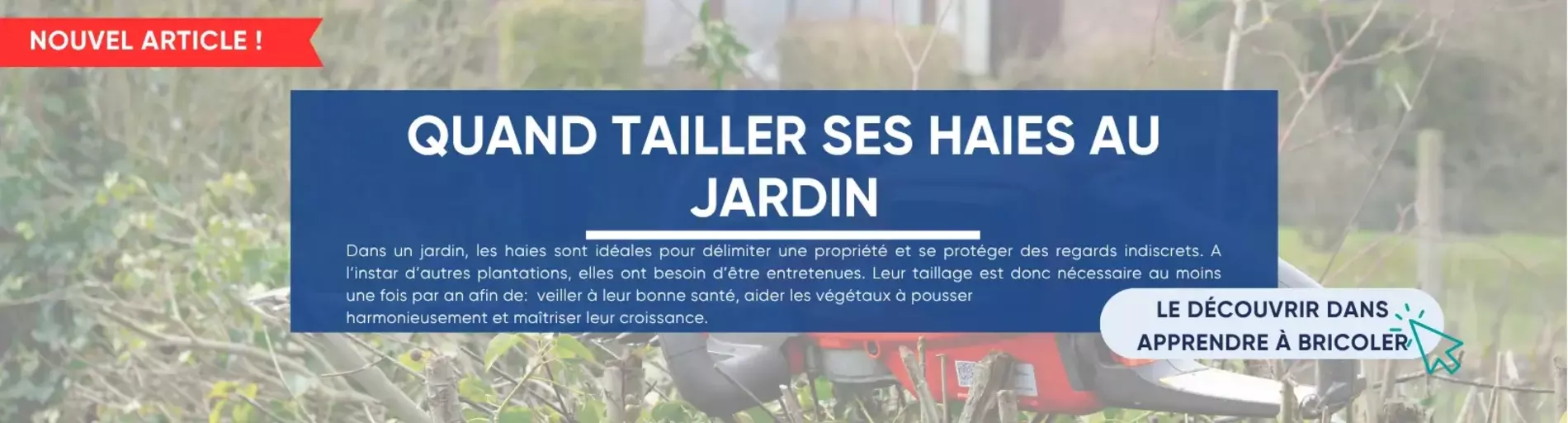 Quand tailler les haies au jardin ?