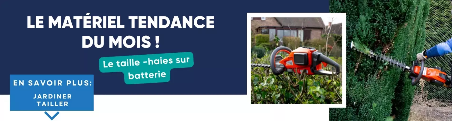 Tout savoir sur le taille-haies