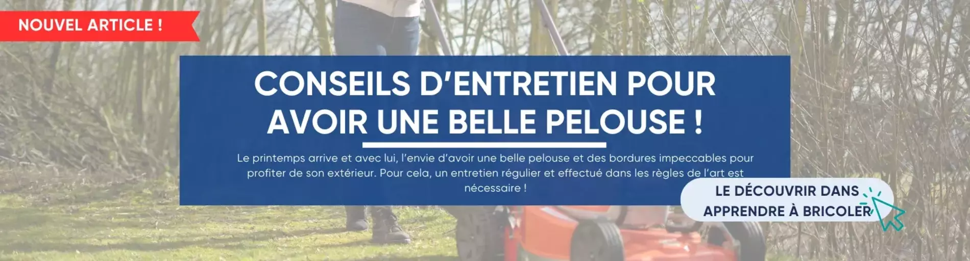 Conseil d'entretien pour avoir une belle pelouse