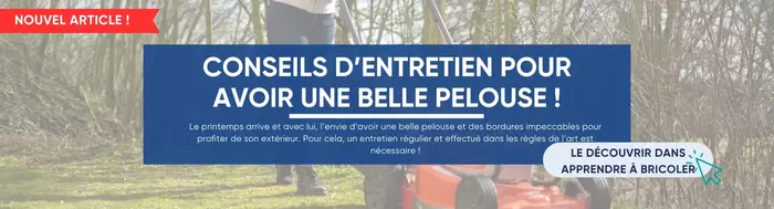 Conseil d'entretien pour avoir une belle pelouse
